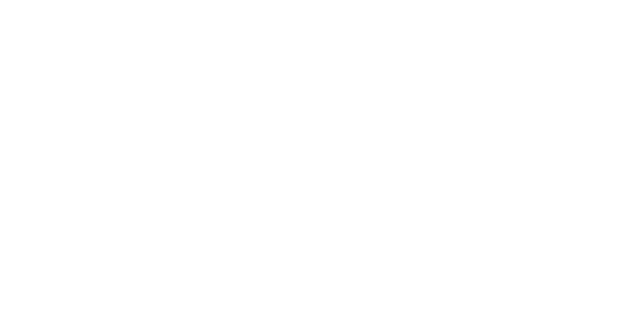tax audit dravecky